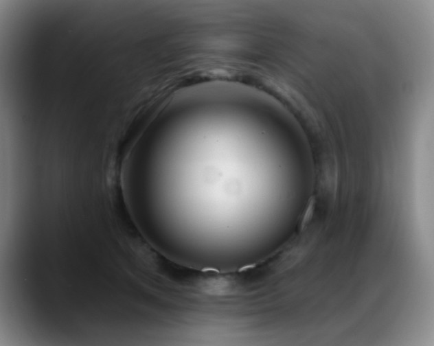 X0000089340513200706151046
