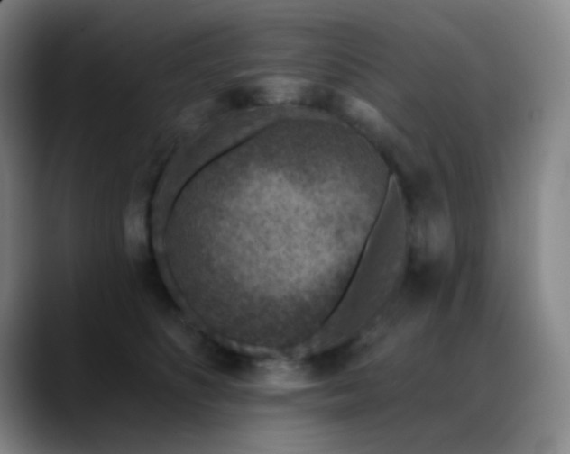 X0000089340516200706151046