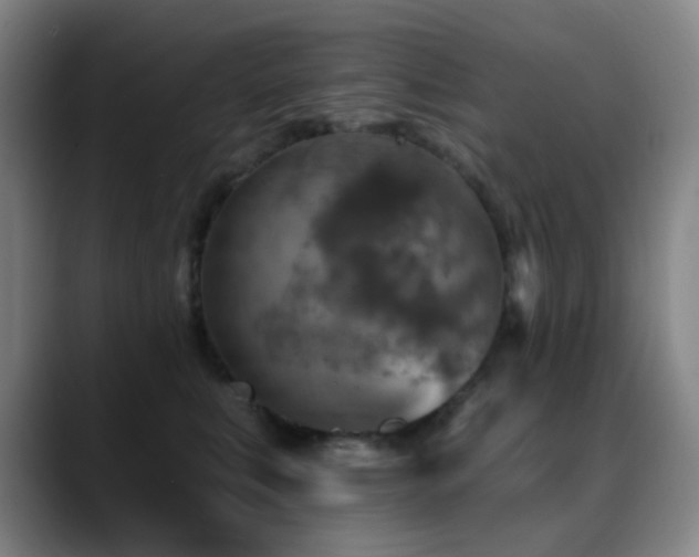 X0000089340519200706151046