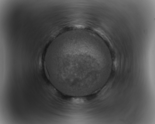 X0000089340520200706151046