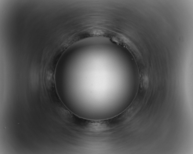 X0000089340521200706151046