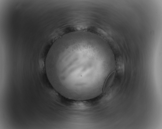 X0000089340523200706151046