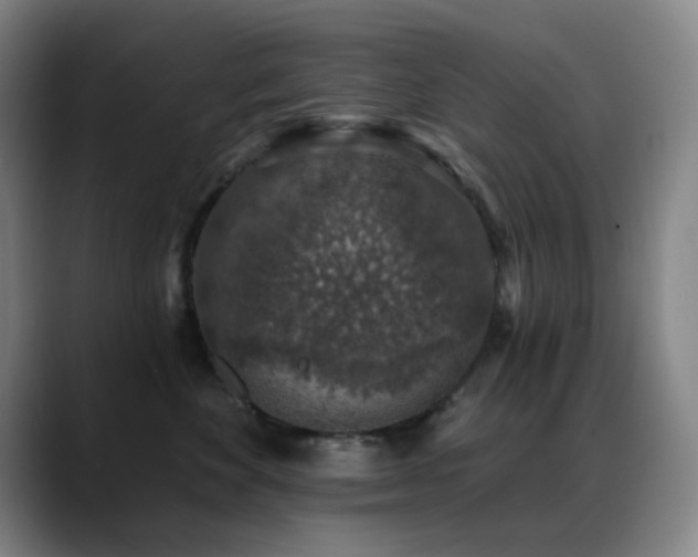 X0000089340524200706151046