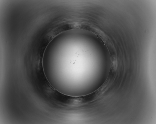 X0000089340525200706151045