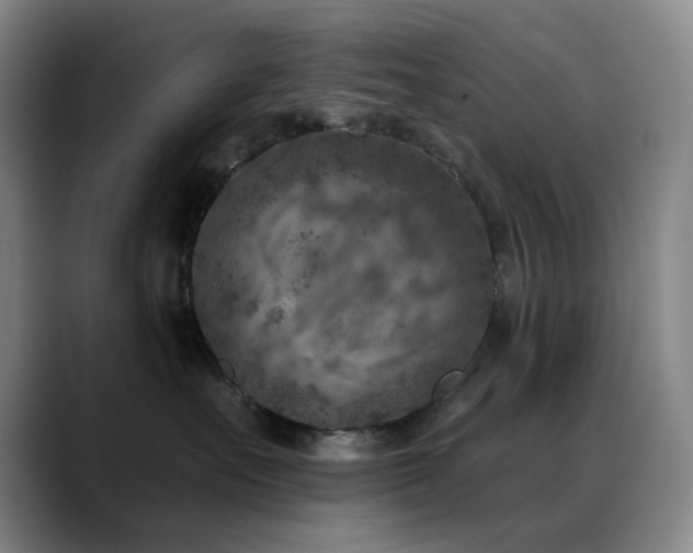 X0000089340527200706151045