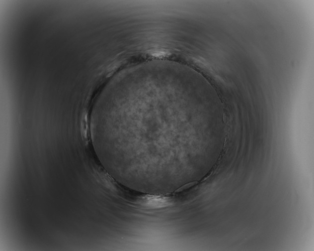 X0000089340528200706151045