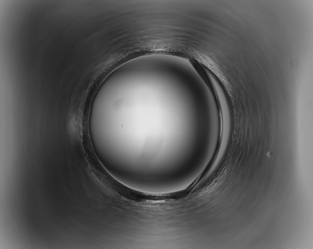 X0000089340530200706151045