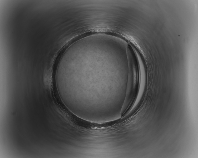 X0000089340531200706151045