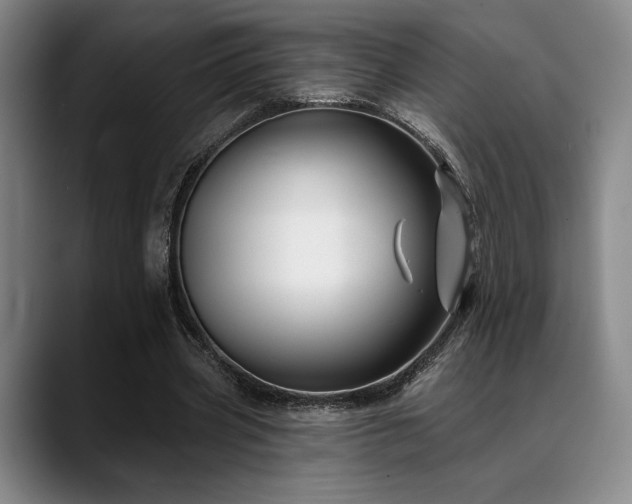 X0000089340533200706151045