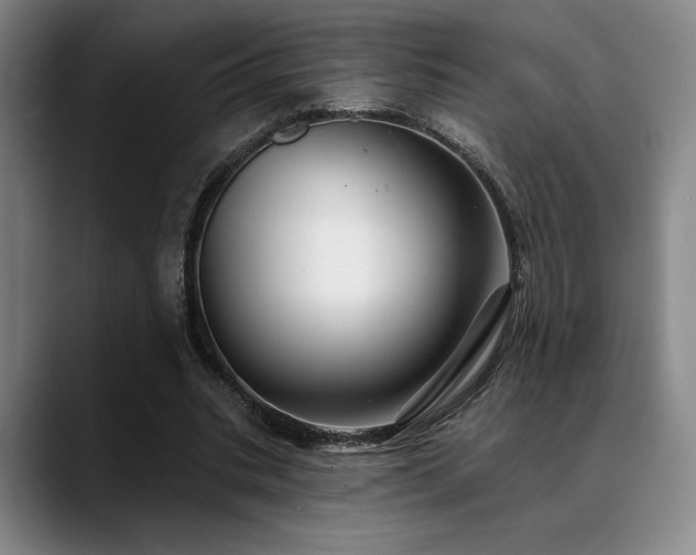 X0000089340535200706151045