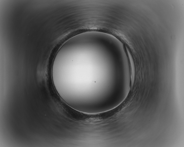 X0000089340536200706151045
