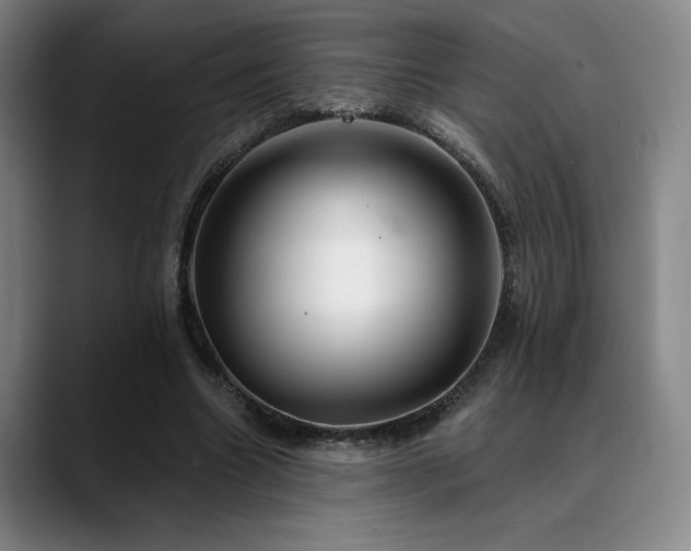 X0000089340538200706151045