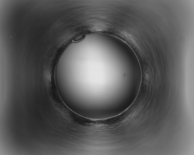 X0000089340539200706151045