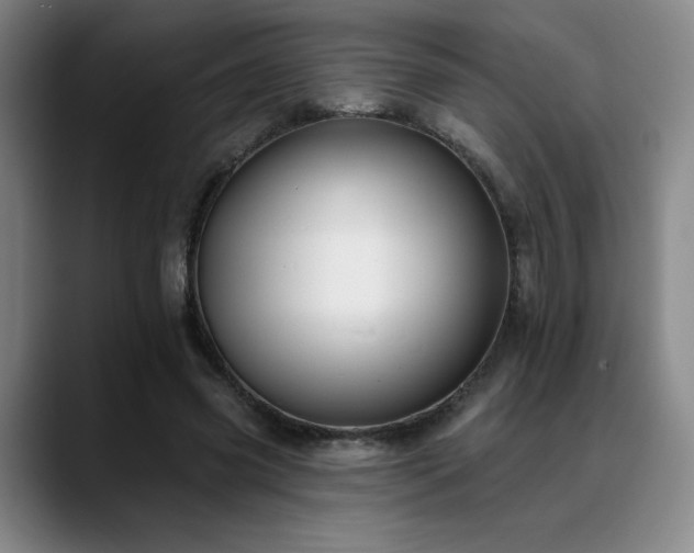 X0000089340541200706151045