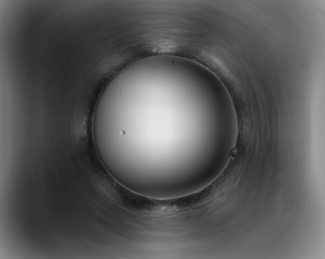 X0000089340543200706151045