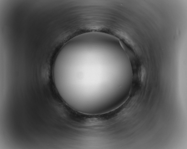 X0000089340544200706151045