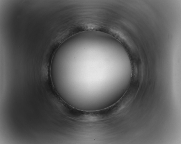 X0000089340545200706151045