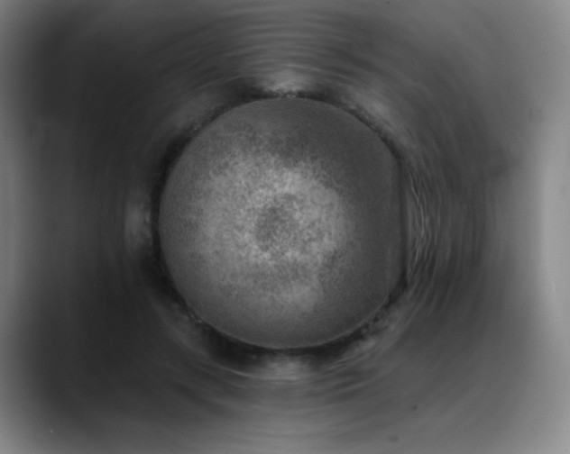 X0000089340547200706151045