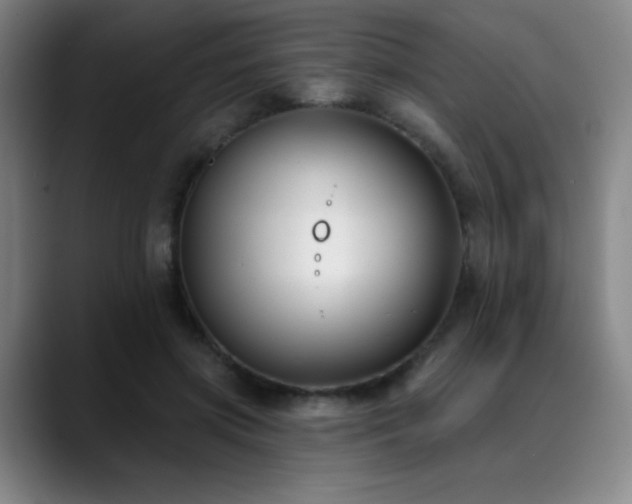 X0000089340549200706151045