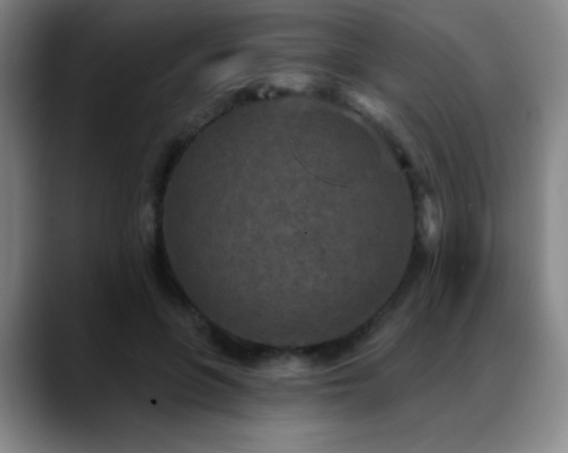 X0000089340551200706151045