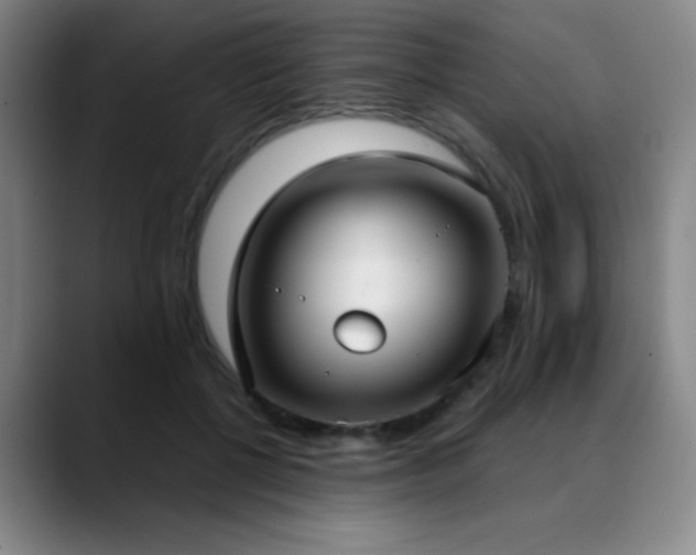 X0000089340552200706151045