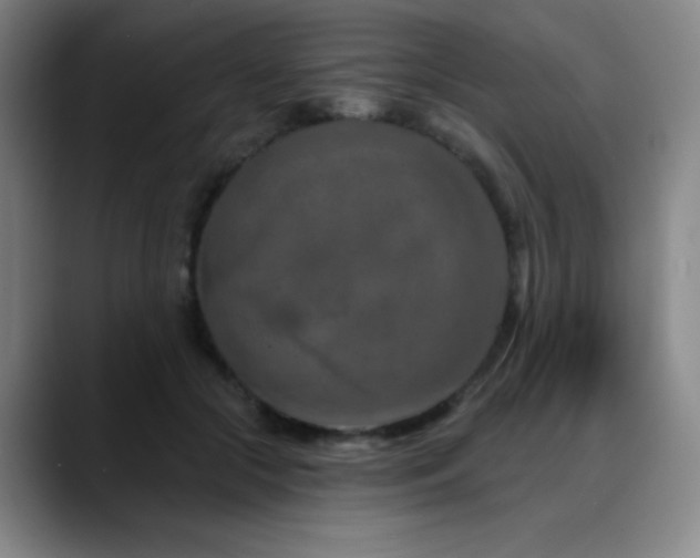 X0000089340553200706151045