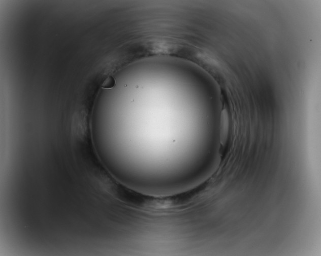X0000089340554200706151045