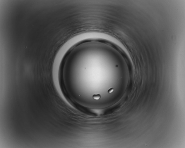X0000089340556200706151045