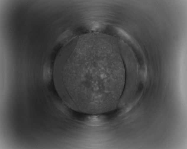 X0000089340558200706151045