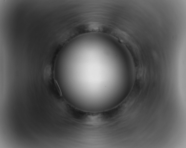 X0000089340560200706151045