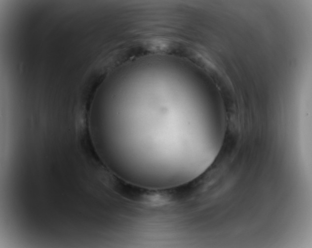 X0000089340561200706151045