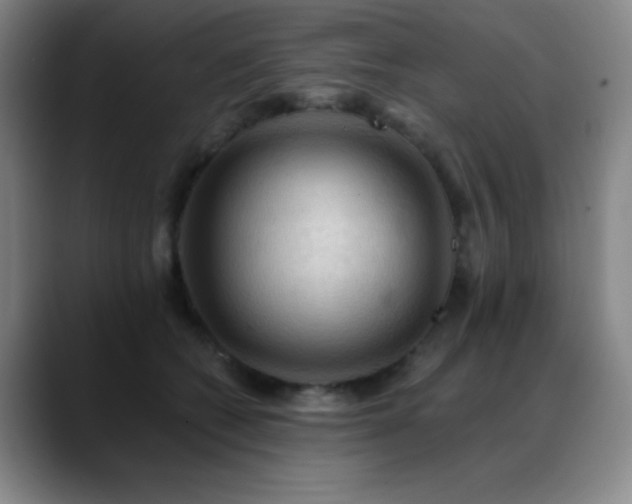 X0000089340562200706151045