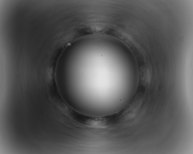 X0000089340563200706151045