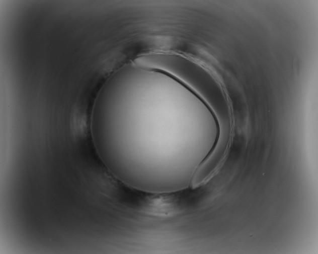 X0000089340564200706151045