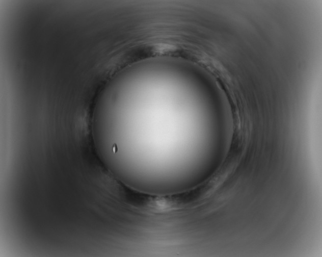 X0000089340565200706151045