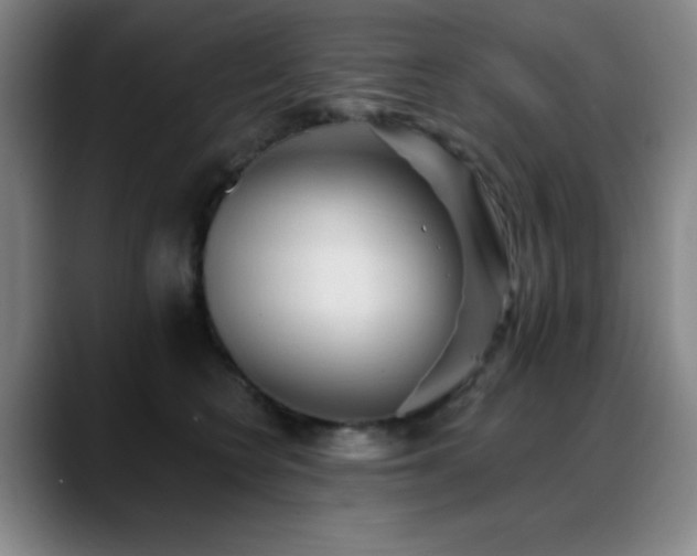 X0000089340566200706151045