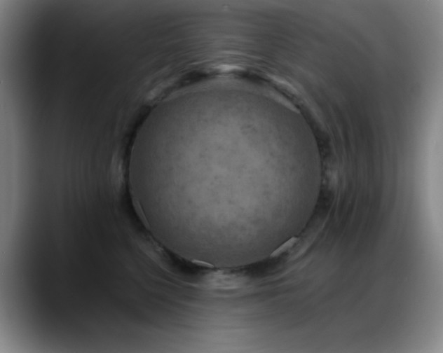 X0000089340568200706151045