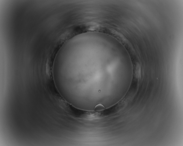 X0000089340569200706151045