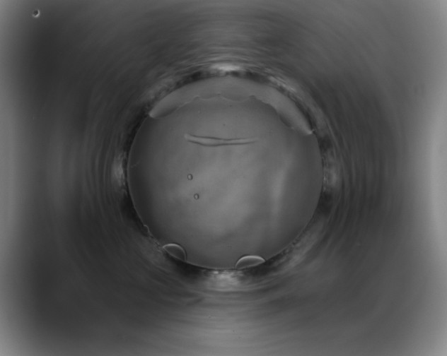 X0000089340573200706151045