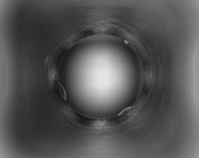 X0000089340574200706151045