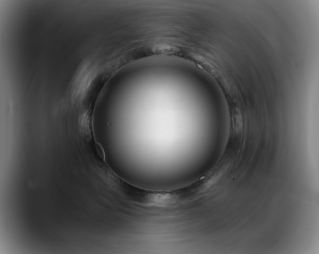 X0000089340575200706151045