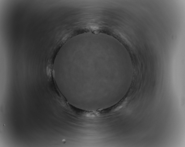 X0000089340576200706151045