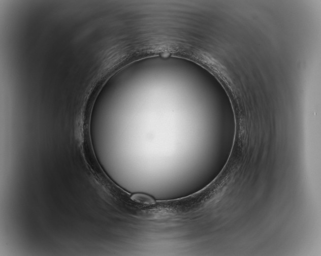 X0000089340578200706151045