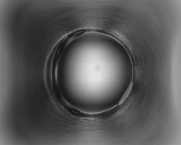 X0000089340580200706151045