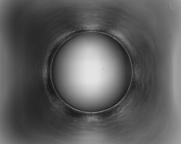 X0000089340583200706151045