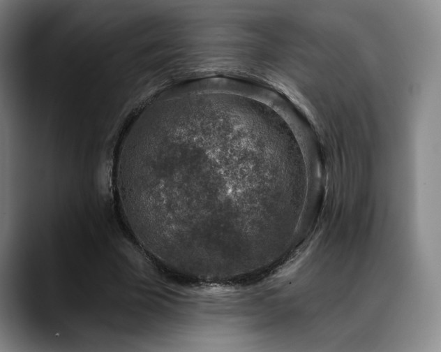 X0000089340585200706151045