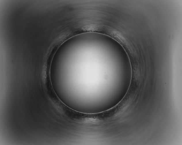 X0000089340586200706151045