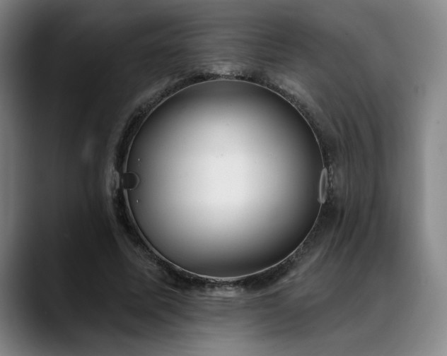 X0000089340587200706151045