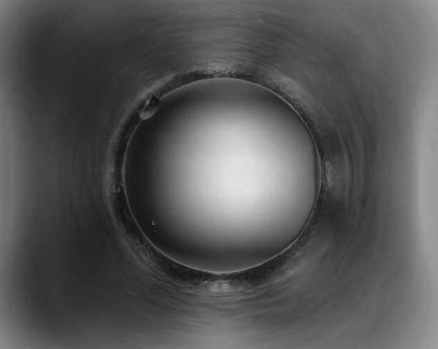 X0000089340588200706151045