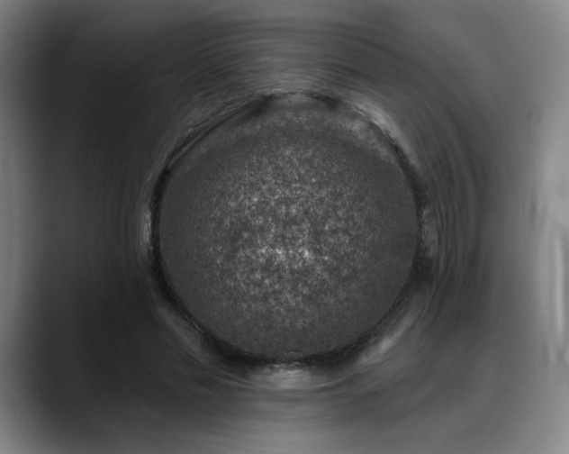 X0000089340589200706151045